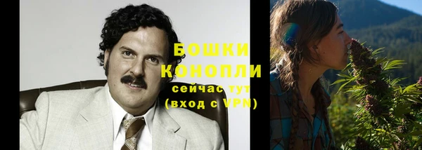 стаф Абаза