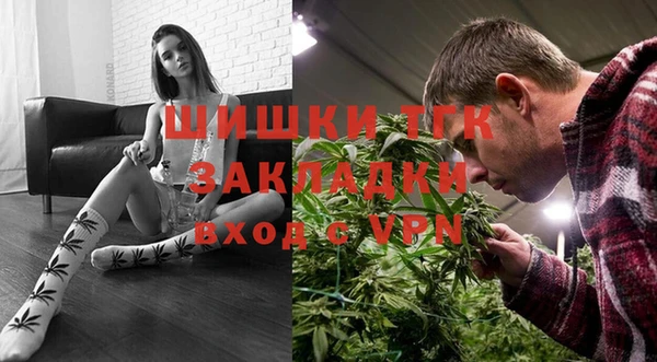 гашик Алексеевка