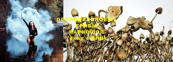 мет Абинск