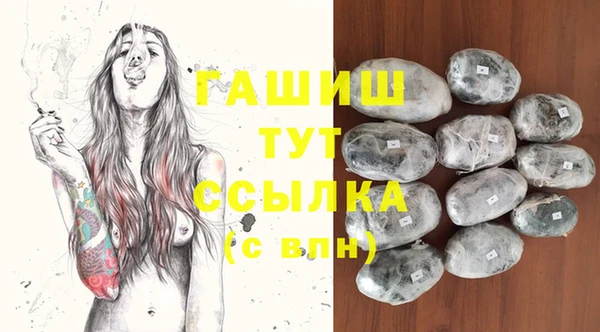 гашик Алексеевка