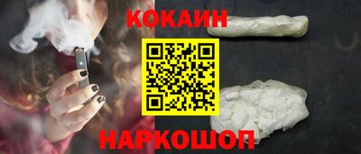 СК Новодвинск
