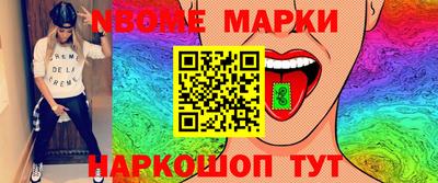 СК Новодвинск