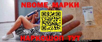 СК Новодвинск