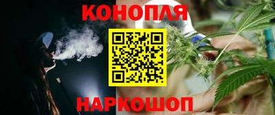 СК Новодвинск