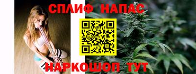 СК Новодвинск