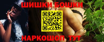 СК Новодвинск