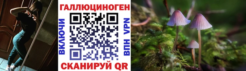 Псилоцибиновые грибы Cubensis  Мегион 