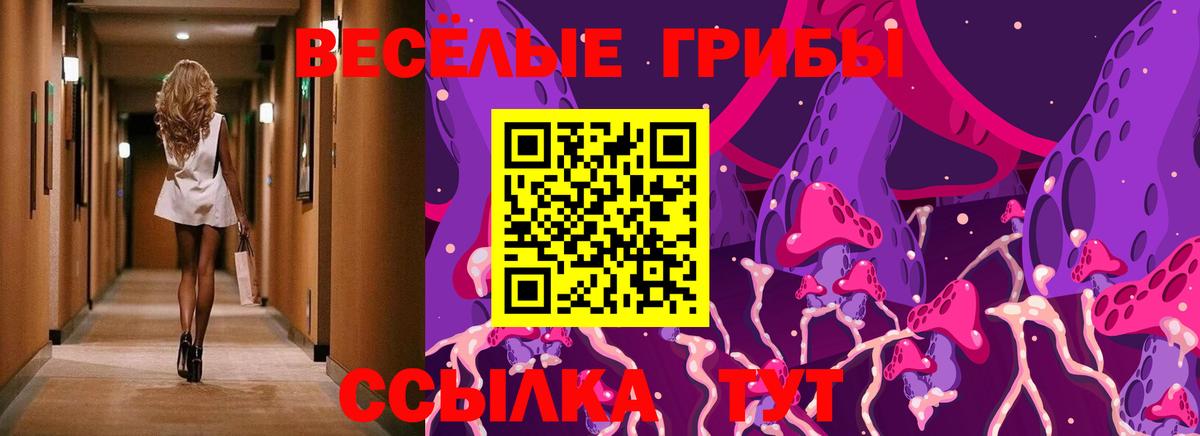 Псилоцибиновые грибы ЛСД Мегион